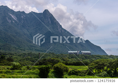 World Natural Heritage Mt. Mochomu, Yakushima, Offshore Alps (Summer) 124175916