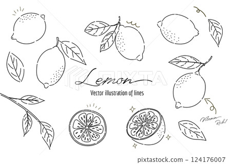 檸檬線描插圖,手繪檸檬線 檸檬線描插圖,手繪檸檬線 124176007