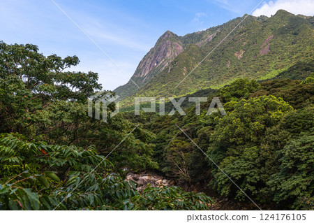 World Natural Heritage Mt. Mochomu and Taino River, Yakushima (Summer) 124176105