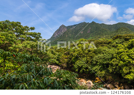 Midsummer blue sky and deep greenery - Mt. Mochomu, a World Natural Heritage Site, Yakushima 124176108