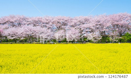 Gyodo Shrine 124176487