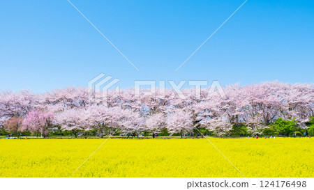 Gyodo神社 124176498