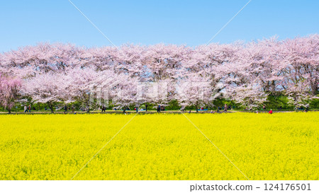 Gyodo神社 124176501