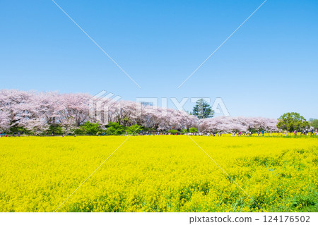 Gyodo神社 124176502