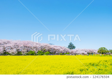 Gyodo神社 124176504