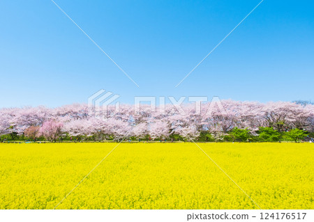 Gyodo神社 124176517