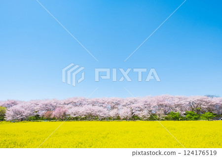 Gyodo神社 Gyodo神社 124176519