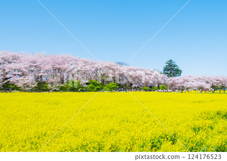 Gyodo Shrine Gyodo Shrine 124176523