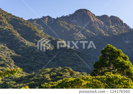 Yakushima, a World Heritage Site with a Giant Granite Rock, a Mountain Where Gods Dwell (Autumn) Yakushima, a World Heritage Site with a Giant Granite Rock, a Mountain Where Gods Dwell (Autumn) 124176560