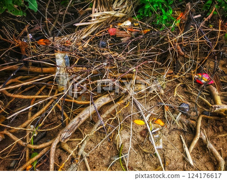 dead tree branches on the ground dead tree branches on the ground 124176617