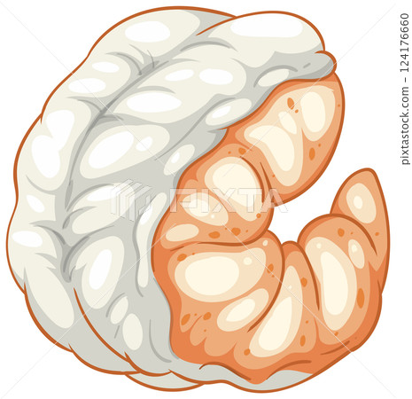 Vector Illustration of a Shrimp Dumpling Vector Illustration of a Shrimp Dumpling 124176660