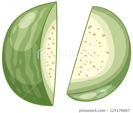 Sliced Green Melon Vector Illustration 124176667