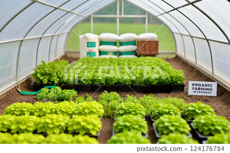 Miniature greenhouse scenery | Organic farming and careful farm work 124176784
