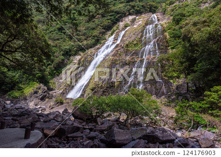 Roaring Okawa Falls, one of Japan's top 100 waterfalls, Yakushima National Park (Autumn) 124176903