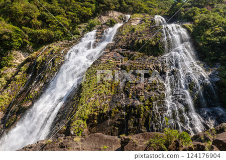 Roaring Okawa Falls, one of Japan's top 100 waterfalls, Yakushima National Park (Autumn) 124176904