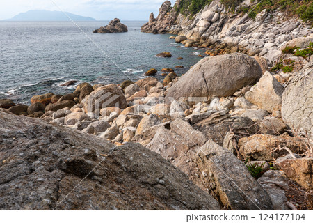世界自然遺產屋久島西部林道地區秋海 124177104