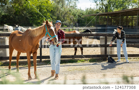 Young woman with horse in horse pen 124177308