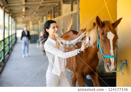 Armenian girl has tied horse to hitching post and is combing animals mane 124177336