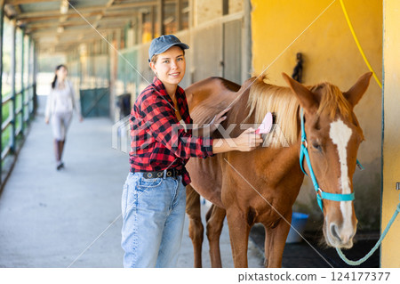 European girl has tied horse to hitching post and is combing animals mane 124177377