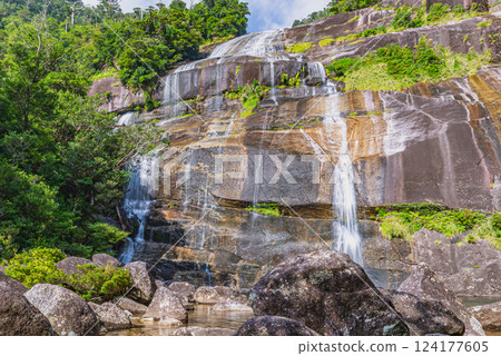 Hebi-no-Kuchi Falls, World Natural Heritage Site, Yakushima (Autumn) Hebi-no-Kuchi Falls, World Natural Heritage Site, Yakushima (Autumn) 124177605