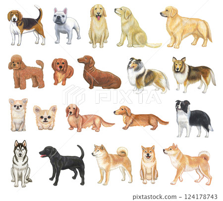 各種狗的插圖集 124178743