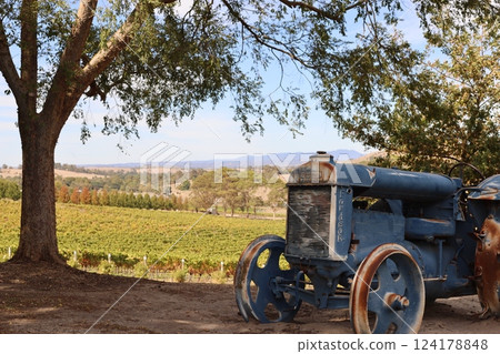 Winery landscape in the Yarra Valley, Melbourne, Australia Winery landscape in the Yarra Valley, Melbourne, Australia 124178848