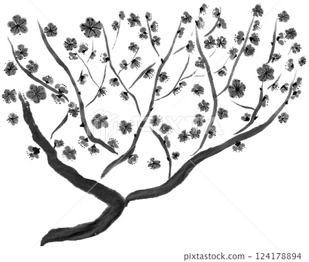 盛開的梅花的單色插圖 124178894