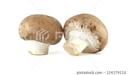Fresh Champignon Mushrooms Isolated on White Background in Bright Studio Lighting Fresh Champignon Mushrooms Isolated on White Background in Bright Studio Lighting 124179118