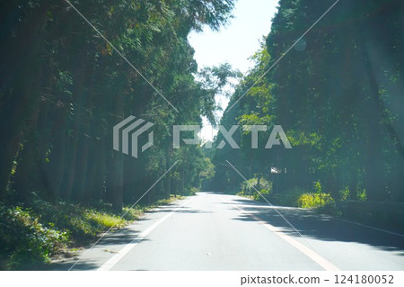 森林公路 124180052