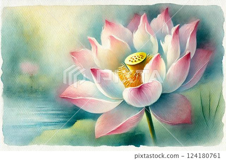 Lotus flower and lotus pond 124180761