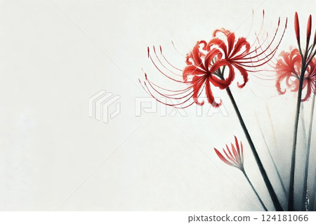 群集孤挺花 124181066