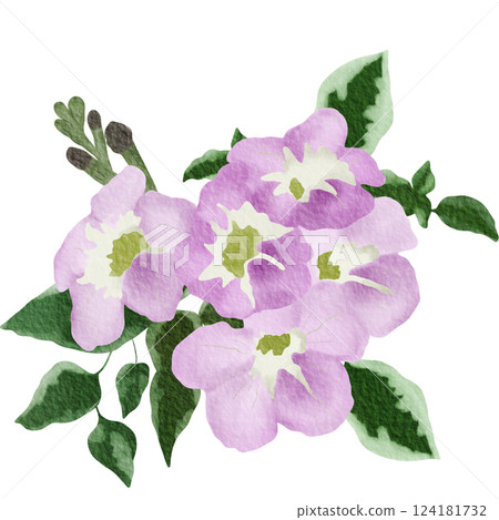 Bunch of purple flower,watercolor style.Illustration of Chinese violet. 124181732