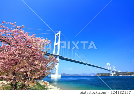 【愛媛縣】來島海峽大橋和河津櫻花盛開 【愛媛縣】來島海峽大橋和河津櫻花盛開 124182137