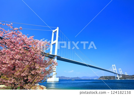 【愛媛縣】來島海峽大橋和河津櫻花盛開 【愛媛縣】來島海峽大橋和河津櫻花盛開 124182138