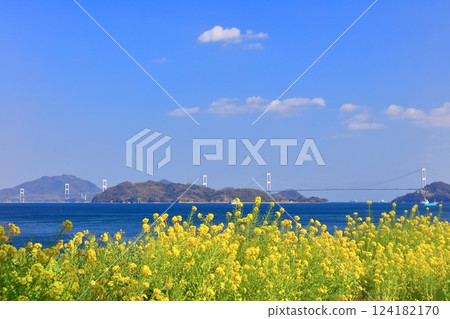 【愛媛郡】晴天的來島海峽大橋與油菜花(大隅海濱公園) 【愛媛郡】晴天的來島海峽大橋與油菜花(大隅海濱公園) 124182170