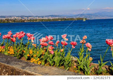 Beautiful colourful spring tulips on the background of Alps Mountains and Lake Geneva in Morges, Switzerland 124182373