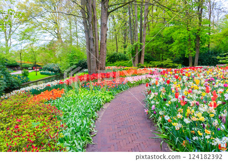 Scenic view of Keukenhof tulip garden in Lisse, Netherlands. Keukenhof is the most beautiful spring garden in the world. Beautiful ornamental garden landscape at Lisse, Netherlands 124182392