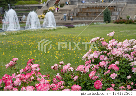 Landscape with a fountain and roses 124182565