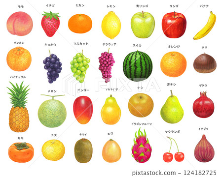 Fruit illustration set 124182725
