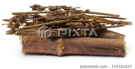 Ayurvedic medicinal Chirata 124182827