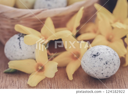 Easter egg with spring flower forsythia Easter egg with spring flower forsythia 124182922