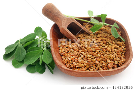 Fenugreek seeds with green leaves 124182936