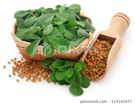 Fenugreek seeds with green leaves 124182937