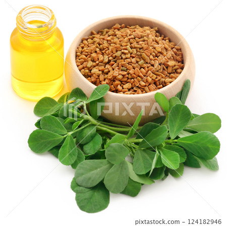 Fenugreek seeds with oil in bottle 124182946