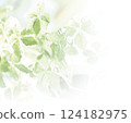 Refreshing green background image 124182975