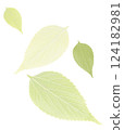 Leaf veins and colorful fluttering leaves background 124182981