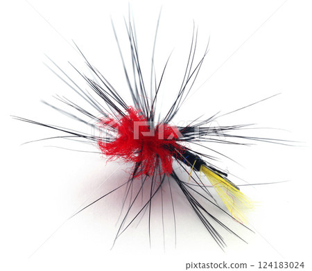 Fishing fly with hook 124183024