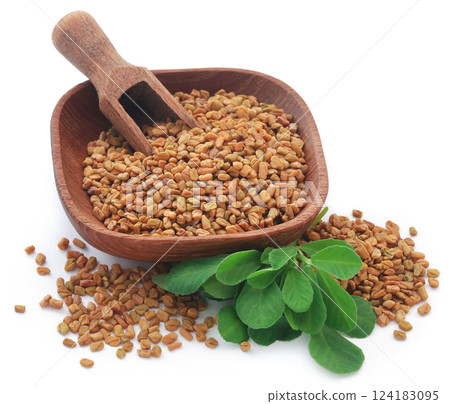 Fenugreek seeds with green leaves Fenugreek seeds with green leaves 124183095
