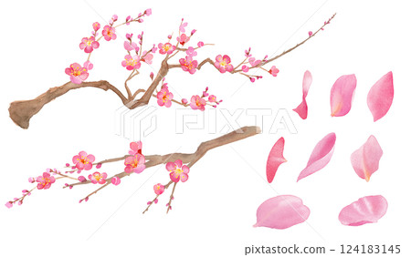 梅花水彩插圖。紅梅。一組花瓣和樹枝。 124183145