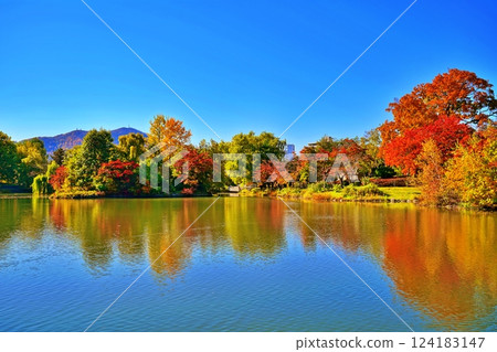 Autumn leaves at Nakajima Park in Sapporo on a clear autumn day 124183147